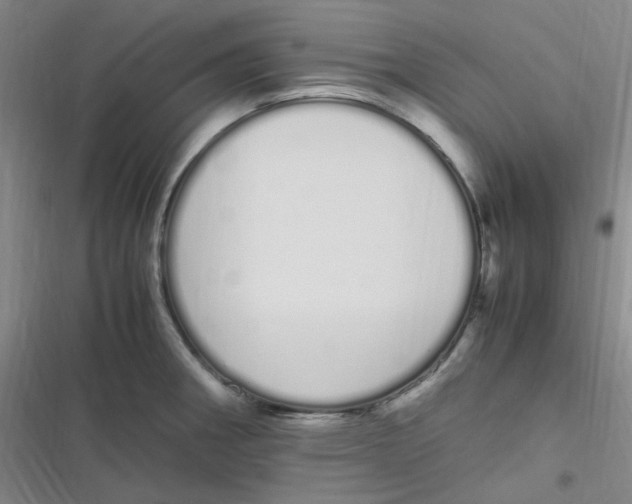 X0000116841282201001081451