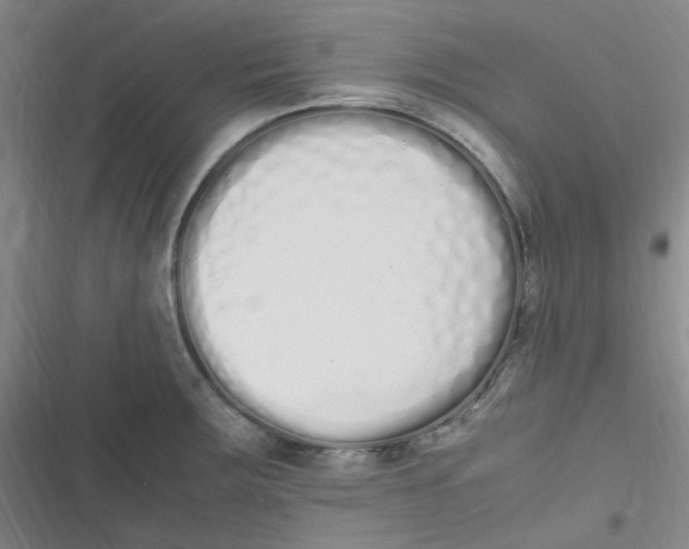 X0000116841283201001081451