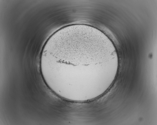 X0000116841284201001081451