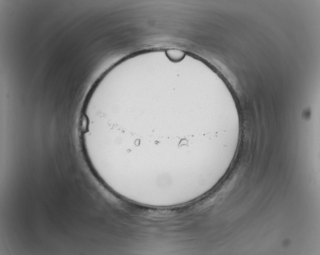 X0000116841285201001081451