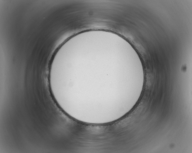 X0000116841286201001081451