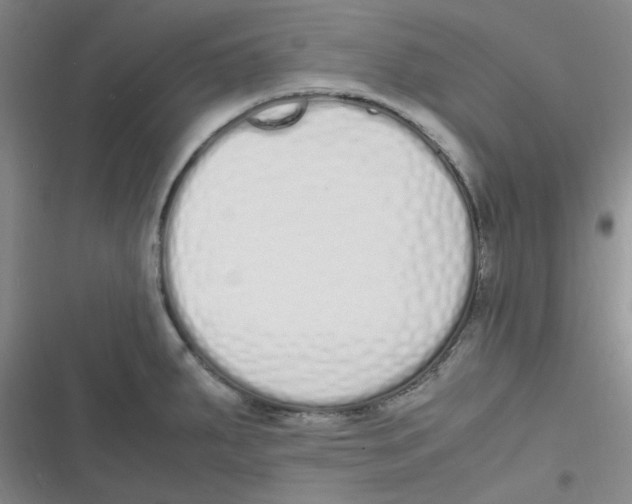 X0000116841287201001081451