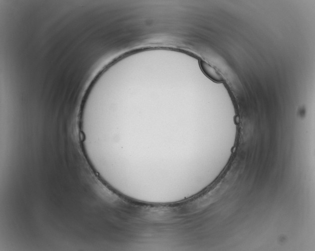 X0000116841288201001081451