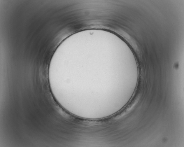 X0000116841289201001081451