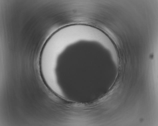 X0000116841291201001081451