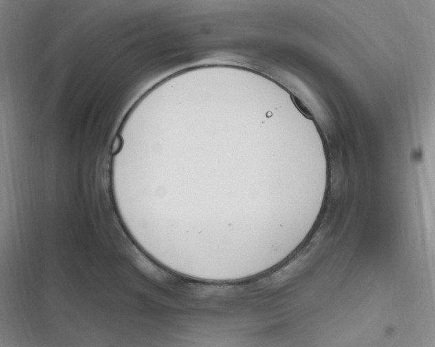 X0000116841292201001081451