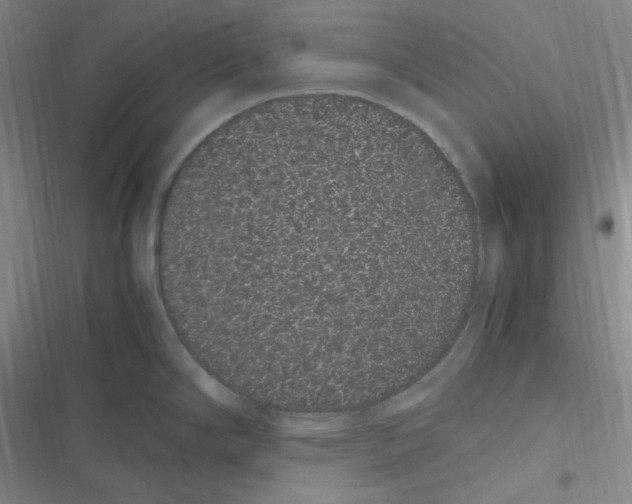 X0000116841294201001081451