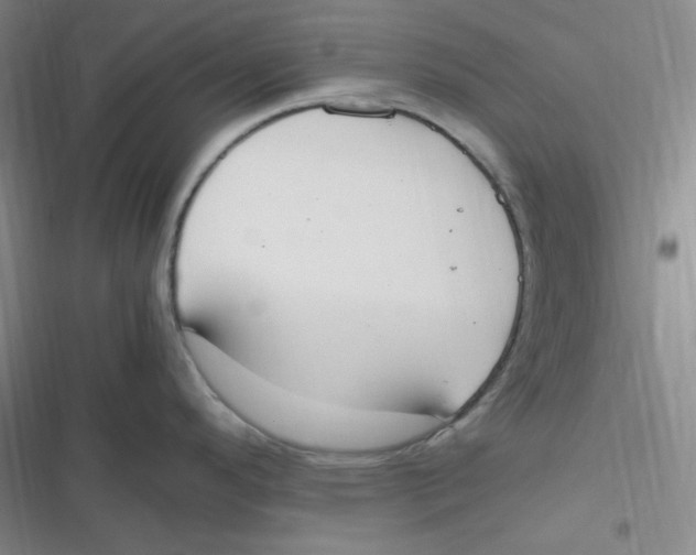 X0000116841296201001081451