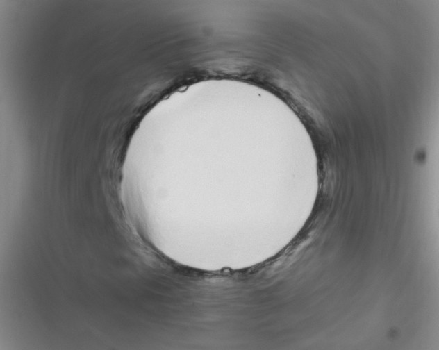 X0000116841297201001081450