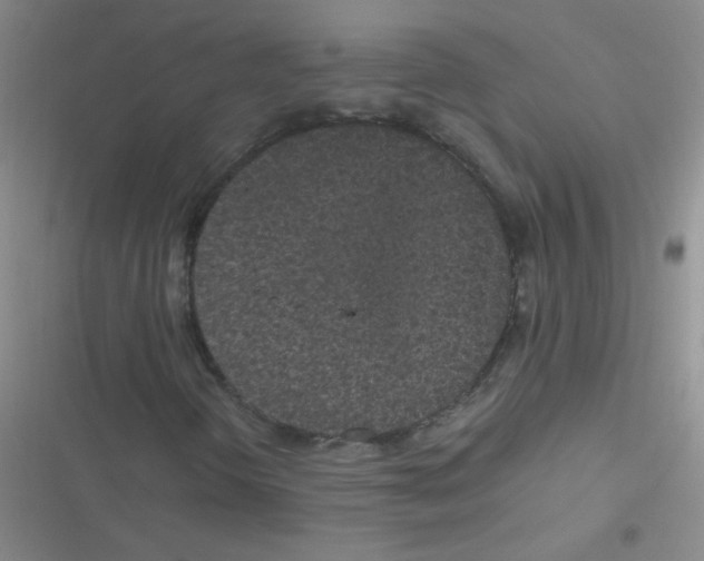 X0000116841298201001081450