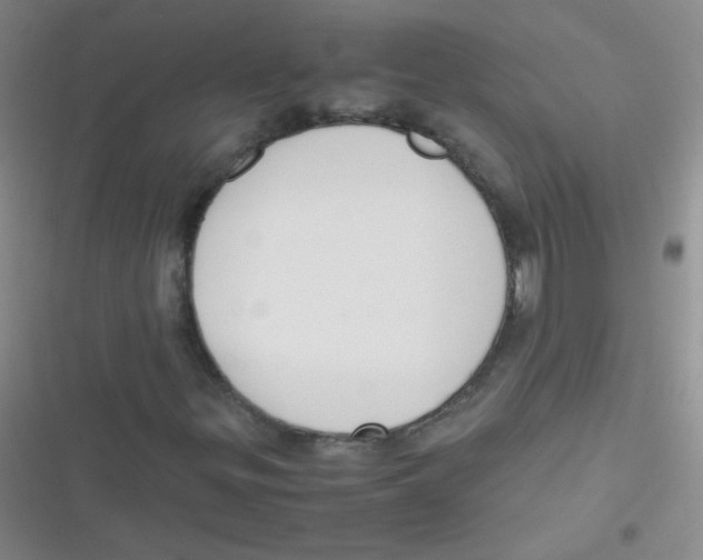 X0000116841299201001081450