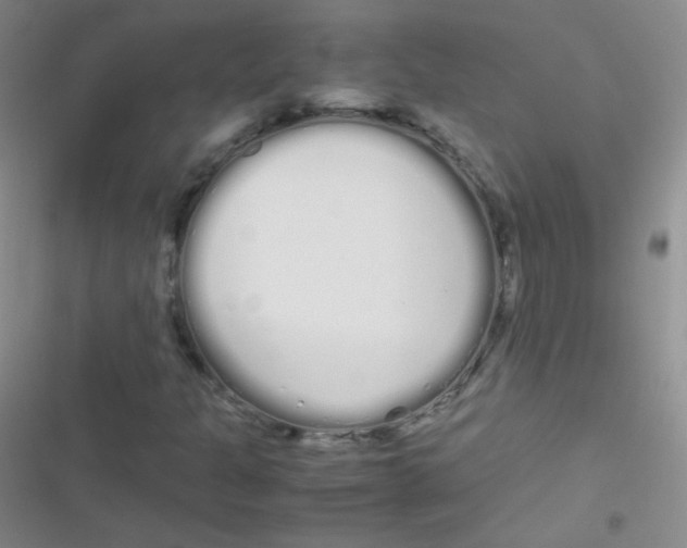 X0000116841301201001081450