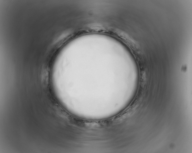 X0000116841302201001081450