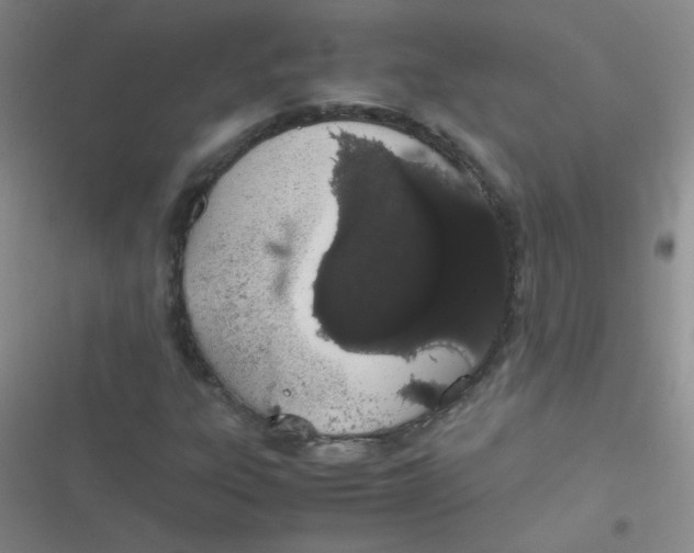 X0000116841303201001081450