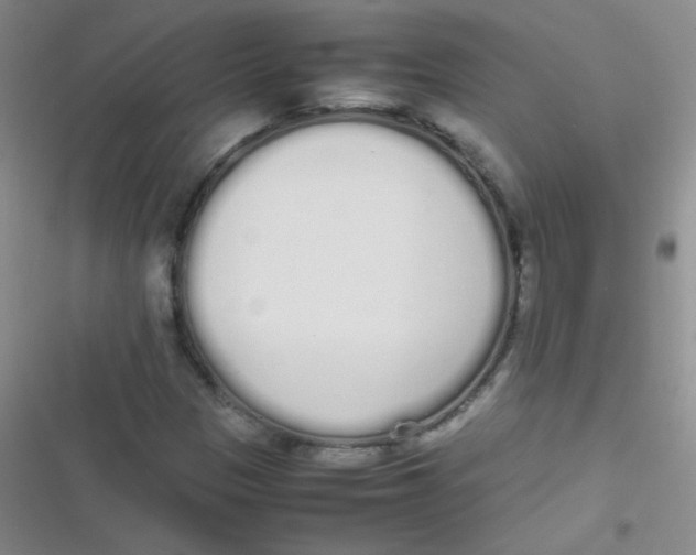 X0000116841305201001081450