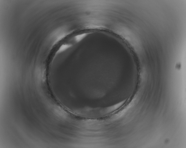 X0000116841306201001081450