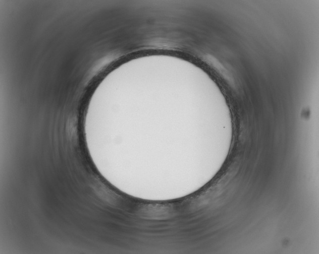 X0000116841307201001081450