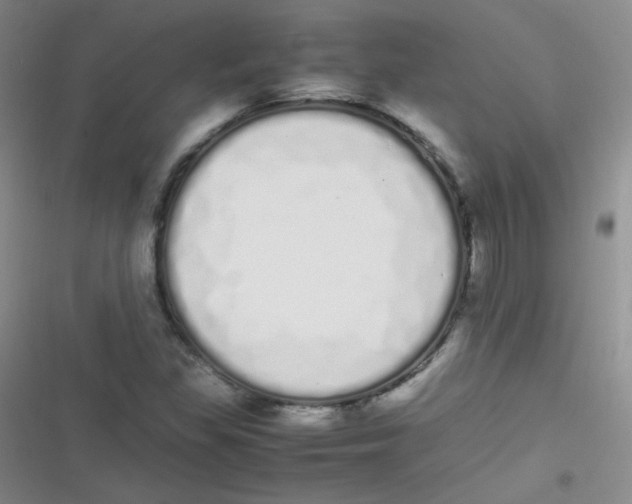 X0000116841309201001081450