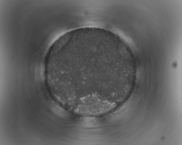 X0000116841310201001081450