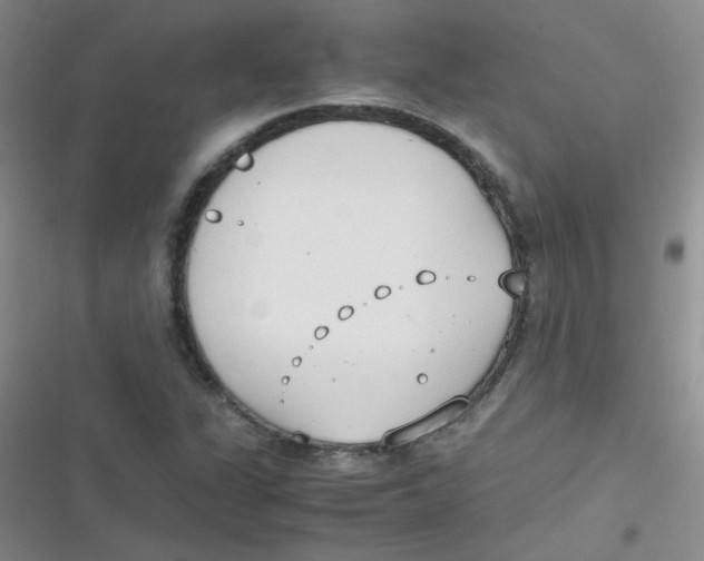 X0000116841311201001081450