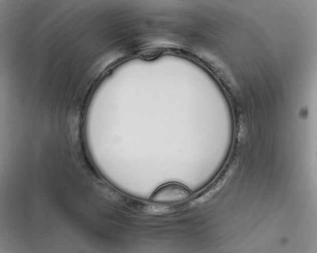 X0000116841313201001081450