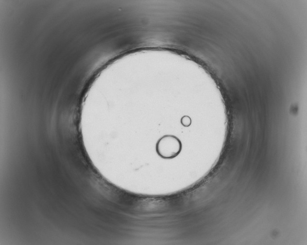 X0000116841314201001081450