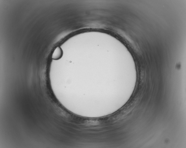 X0000116841315201001081450