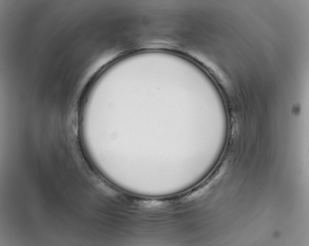 X0000116841317201001081450