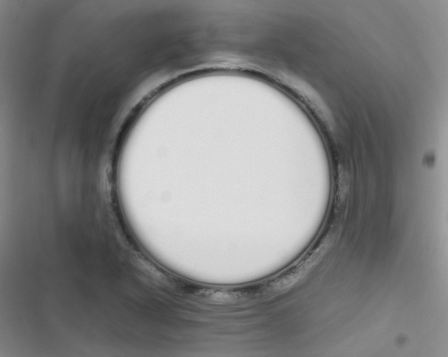 X0000116841318201001081450