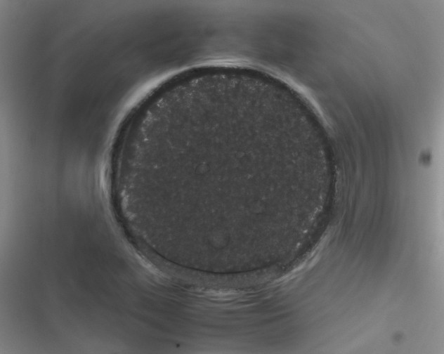 X0000116841319201001081450