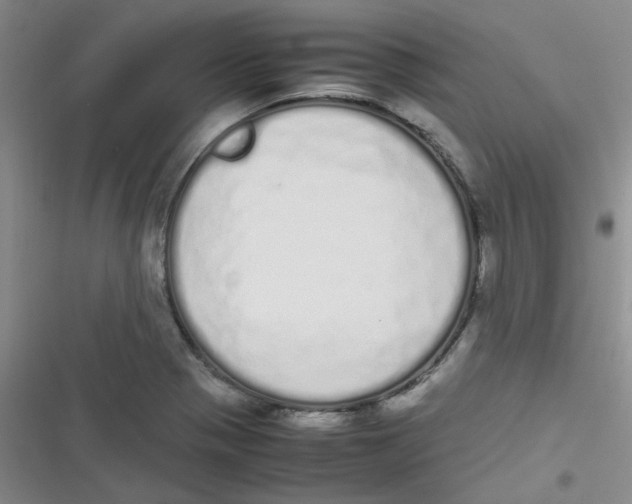 X0000116841321201001081450