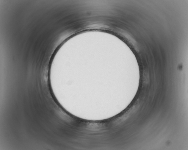 X0000116841322201001081450