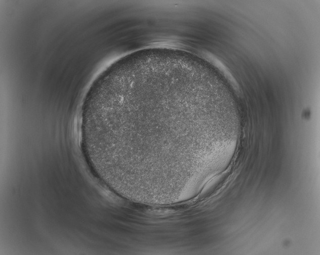 X0000116841323201001081450