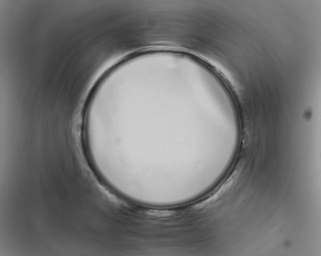 X0000116841325201001081450