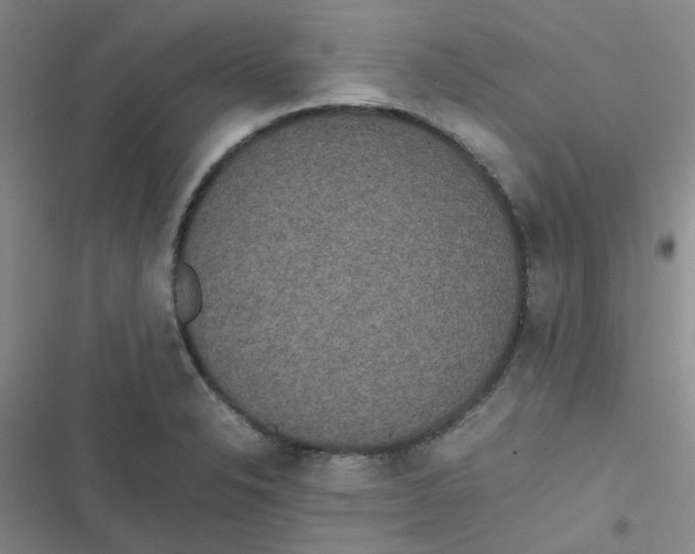 X0000116841326201001081450