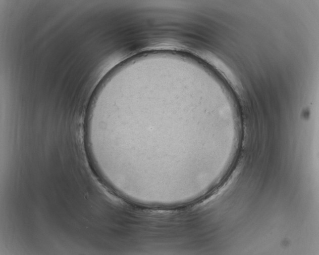 X0000116841329201001081450