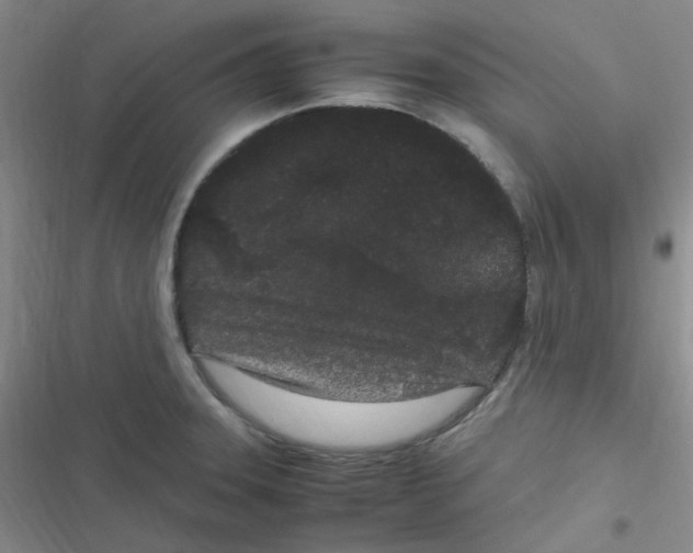 X0000116841331201001081450