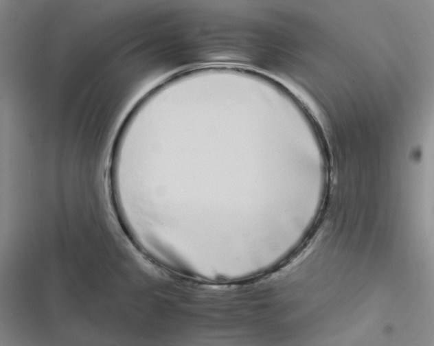 X0000116841333201001081450