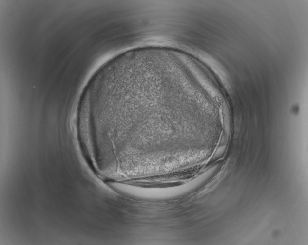 X0000116841334201001081450