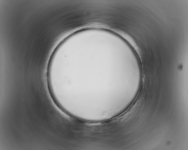 X0000116841335201001081450