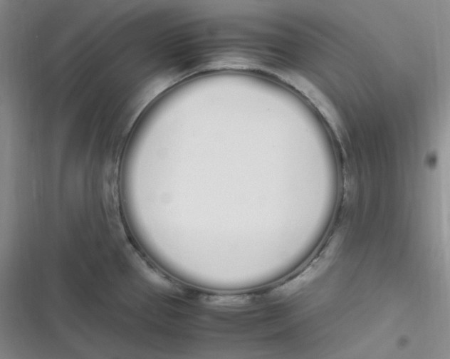 X0000116841337201001081450