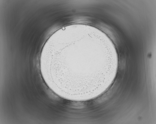 X0000116841338201001081450