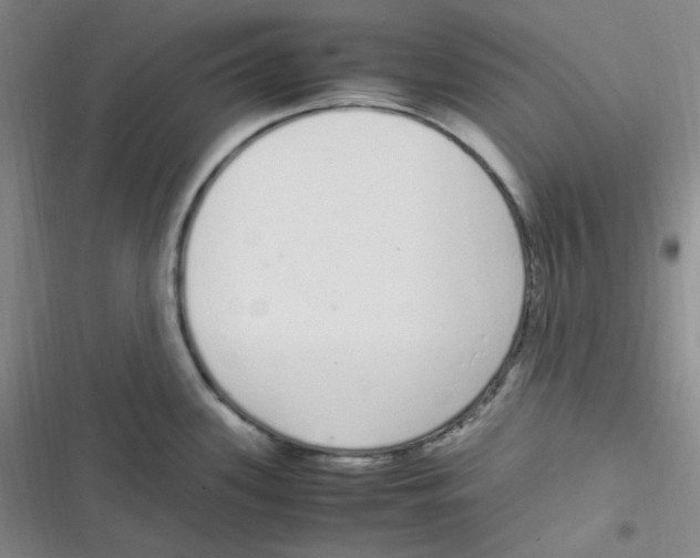 X0000116841339201001081451