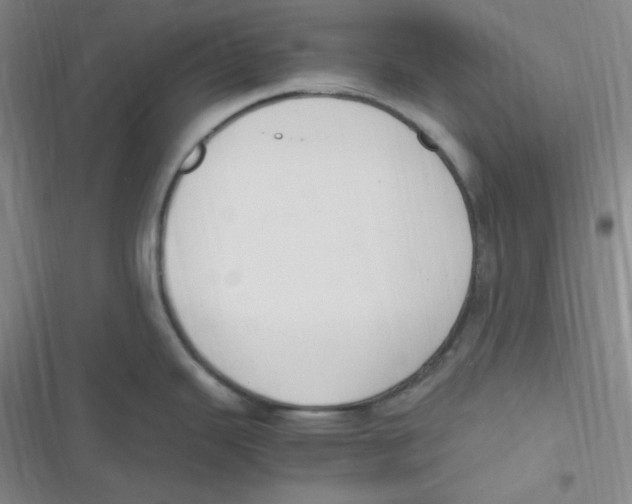 X0000116841343201001081451