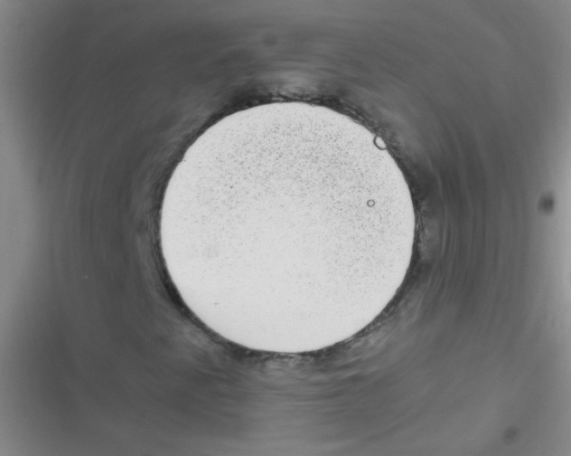 X0000116841345201001081450