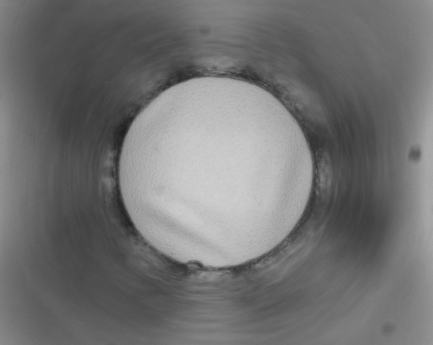 X0000116841346201001081450