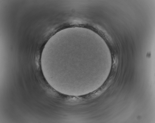 X0000116841348201001081450