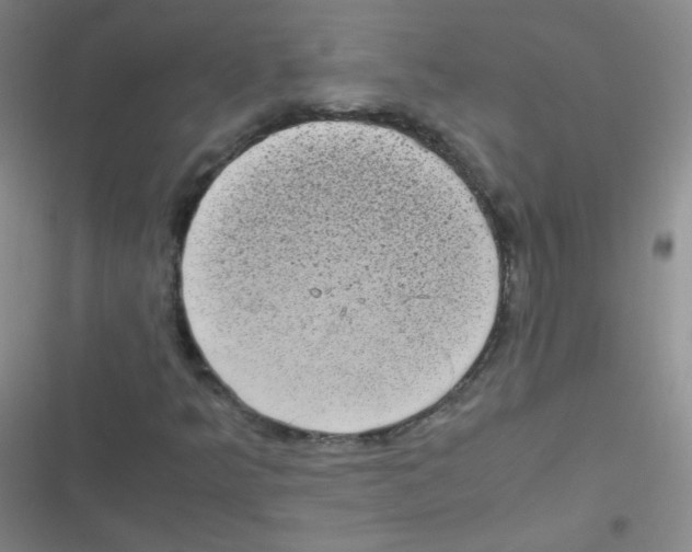 X0000116841349201001081450