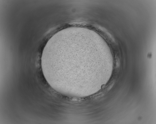 X0000116841350201001081450