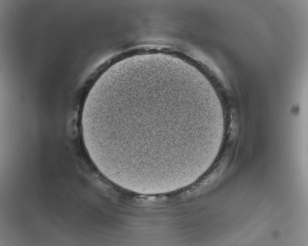 X0000116841352201001081450